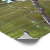 Afrikaanse kraanafdruk poster (Hoek)