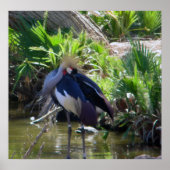 Afrikaanse kraanafdruk poster (Voorkant)