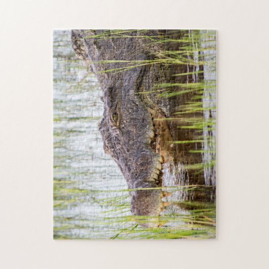 Afrikaanse krokodil legpuzzel (Verticaal)