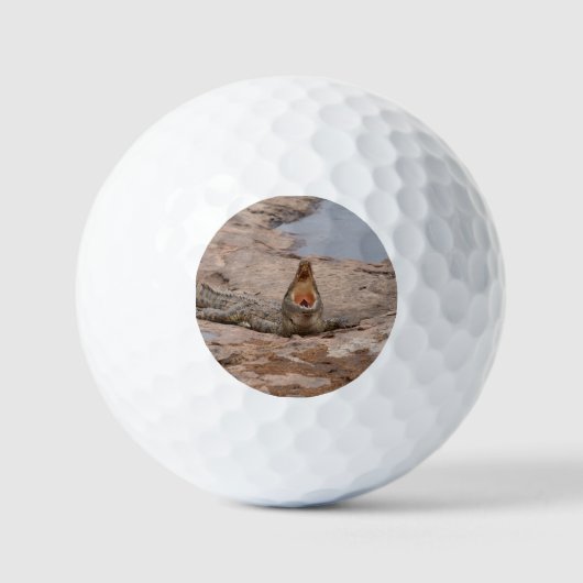Afrikaanse krokodil - Masai-rivier Golfballen (Voorkant)