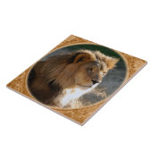 Afrikaanse leeuw 6775e11x11fram-b tegeltje (Zijkant)
