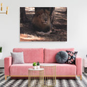 AFRIKAANSE LEEUW Grote Vijf Kat Wildlife Fotoprint Canvas Afdruk (Insitu (Woonkamer))