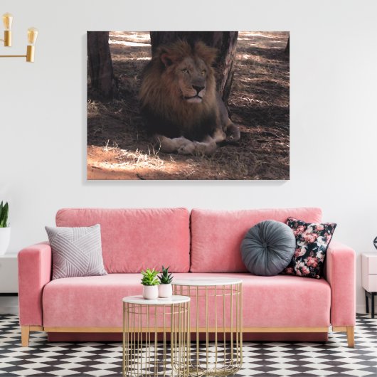 AFRIKAANSE LEEUW Grote Vijf Kat Wildlife Fotoprint Canvas Afdruk (Insitu (Woonkamer))