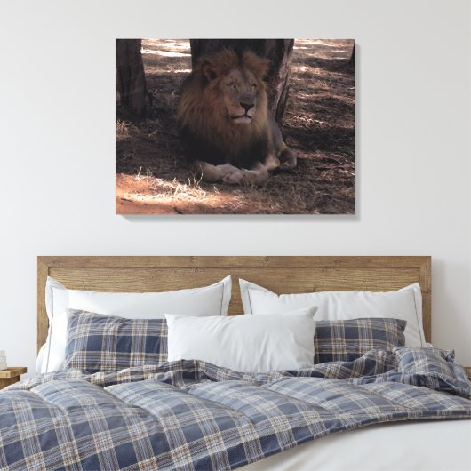 AFRIKAANSE LEEUW Grote Vijf Kat Wildlife Fotoprint Canvas Afdruk (Insitu (Slaapkamer))