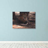 AFRIKAANSE LEEUW Grote Vijf Kat Wildlife Fotoprint Canvas Afdruk (Insitu (Houten vloer))