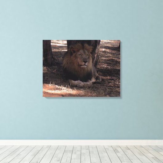 AFRIKAANSE LEEUW Grote Vijf Kat Wildlife Fotoprint Canvas Afdruk (Insitu (Houten vloer))