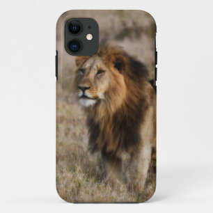 Afrikaanse leeuw in Grass Case-Mate iPhone Case
