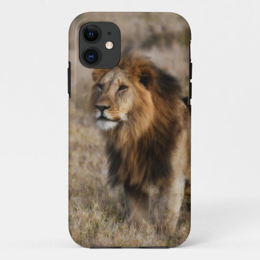 Afrikaanse leeuw in Grass Case-Mate iPhone Case (Achterkant)