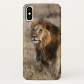 Afrikaanse leeuw in Grass Case-Mate iPhone Case (Achterkant)