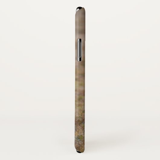 Afrikaanse leeuw in Grass Case-Mate iPhone Case (Achterkant / rechts)