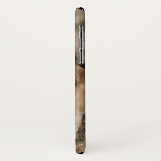 Afrikaanse leeuw in Grass Case-Mate iPhone Case (Achterkant/links)