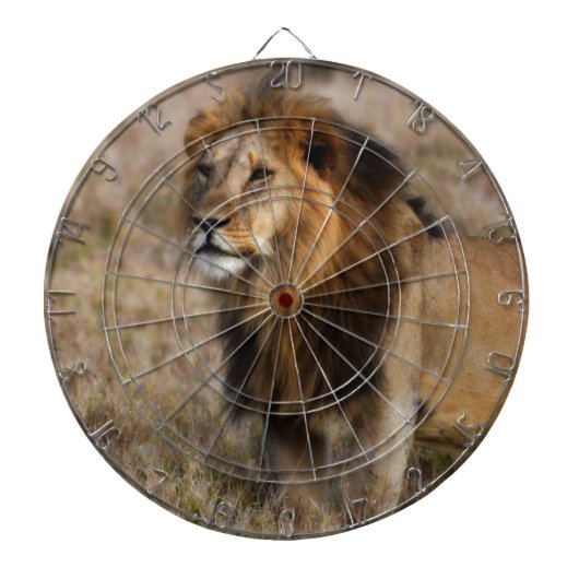 Afrikaanse leeuw in Grass Dartbord (Voorkant)