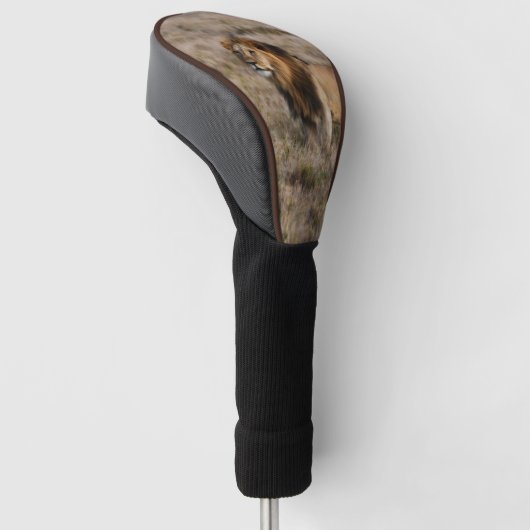 Afrikaanse leeuw in Grass Golfheadcover (Schuin)