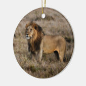 Afrikaanse leeuw in Grass Keramisch Ornament (Links)