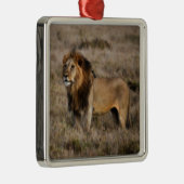 Afrikaanse leeuw in Grass Metalen Ornament (Rechts)