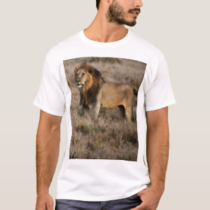 Afrikaanse leeuw in Grass T-shirt