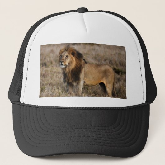 Afrikaanse leeuw in Grass Trucker Pet (Voorkant)