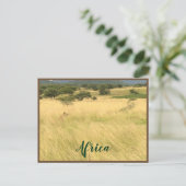 Afrikaanse leeuw in Kenia Afrika Briefkaart (Staand voorkant)