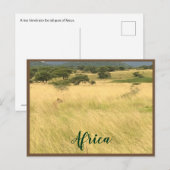 Afrikaanse leeuw in Kenia Afrika Briefkaart (Voorkant / Achterkant)
