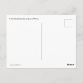 Afrikaanse leeuw in Kenia Afrika Briefkaart (Achterkant)