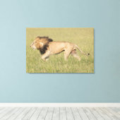 Afrikaanse leeuw in Savanna-platte canvas (Insitu (Houten vloer))