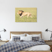 Afrikaanse leeuw in Savanna-platte canvas (Insitu (Slaapkamer))