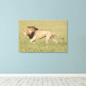 Afrikaanse leeuw in Savanna-platte canvas (Insitu (Houten vloer))