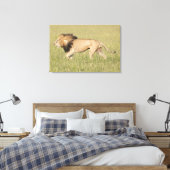 Afrikaanse leeuw in Savanna-platte canvas Afdruk (Insitu (Slaapkamer))