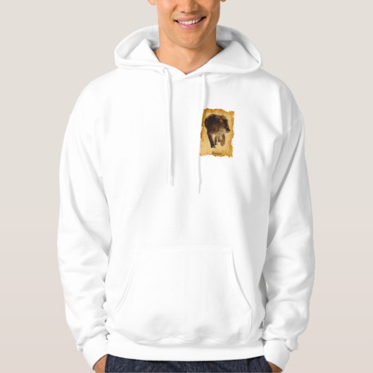 Afrikaanse Leeuw Mooie Grote Kat Wildlife Hoodie (Voorkant)
