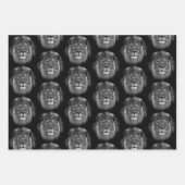 Afrikaanse leeuw ontwierp inpakpapier vel (Voorkant 3)