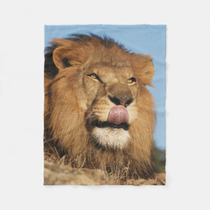 Afrikaanse Leeuw (Panthera Leo), Afrikaanse savann Fleece Deken