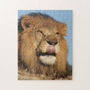 Afrikaanse Leeuw (Panthera Leo), Afrikaanse savann Legpuzzel