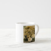 Afrikaanse leeuw, Panthera leo, in slaap gevallen Espresso Kop (Voorkant rechts)