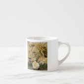 Afrikaanse leeuw, Panthera leo, in slaap gevallen Espresso Kop (Rechts)