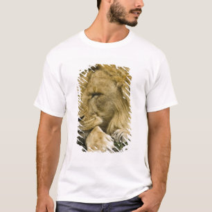 Afrikaanse leeuw, Panthera leo, in slaap gevallen T-shirt