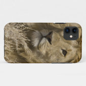 Afrikaanse Leeuw, Panthera leo, Portret van een Case-Mate iPhone Case (Achterkant (horizontaal))