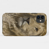 Afrikaanse Leeuw, Panthera leo, Portret van een Case-Mate iPhone Case (Achterkant (horizontaal))