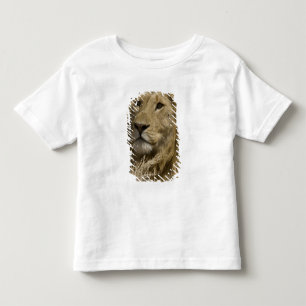 Afrikaanse Leeuw, Panthera leo, Portret van een Kinder Shirts