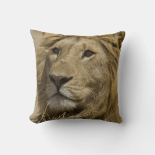Afrikaanse Leeuw, Panthera leo, Portret van een Kussen
