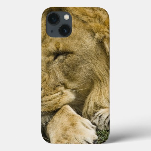 Afrikaanse Leeuw, Panthera leo, slapend liggend Case-Mate iPhone Case (Achterkant)