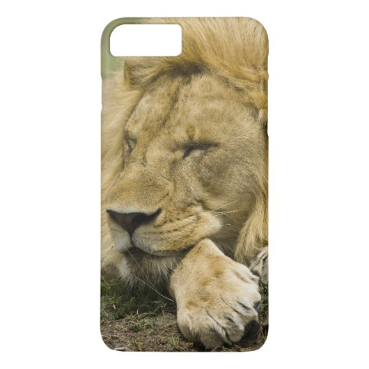 Afrikaanse Leeuw, Panthera leo, slapend op de gron Case-Mate iPhone Case (Achterkant)