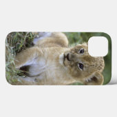 Afrikaanse leeuw, Panthera leo), Tanzania, Case-Mate iPhone Case (Achterkant (horizontaal))
