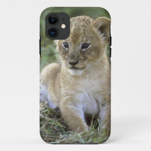 Afrikaanse leeuw, Panthera leo), Tanzania, Case-Mate iPhone Case