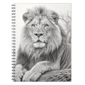 Afrikaanse leeuw potlood tekening notitieboek (Voorkant)