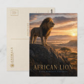 Afrikaanse Leeuw Savanne DIEREN Briefkaart (Voorkant / Achterkant)