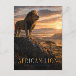 Afrikaanse Leeuw Savanne DIEREN Briefkaart