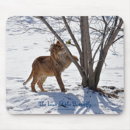 Afrikaanse Leeuw & Vlinder Foto Mousepad Muismat (Voorkant)