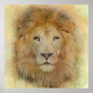 Afrikaanse Leeuw Wildlife Waterverf Portret Poster
