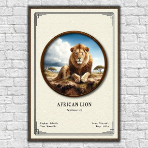 Afrikaanse Leeuw Zoologie Serie Poster