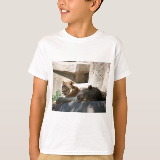 Afrikaanse leeuwen t-shirt (Voorkant)